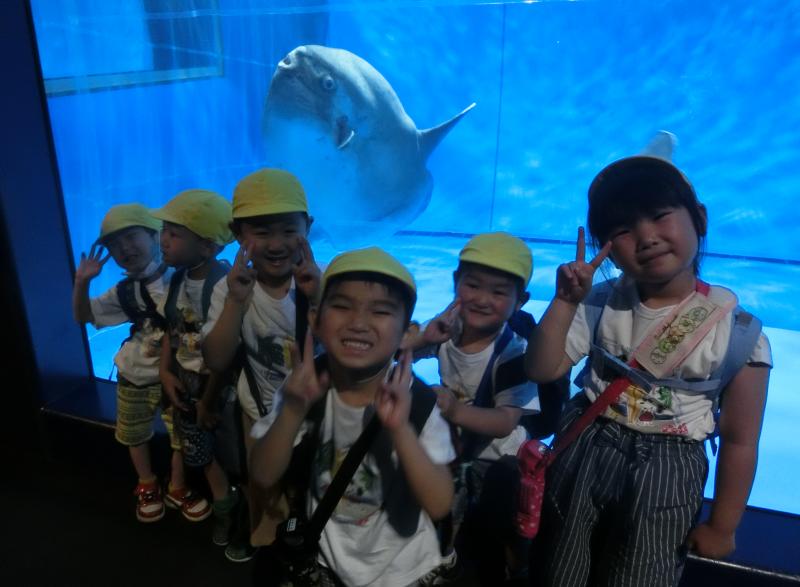 『水族館に行ってきました!!』