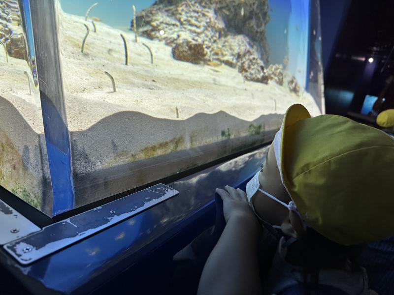 『水族館に行ってきました!!』