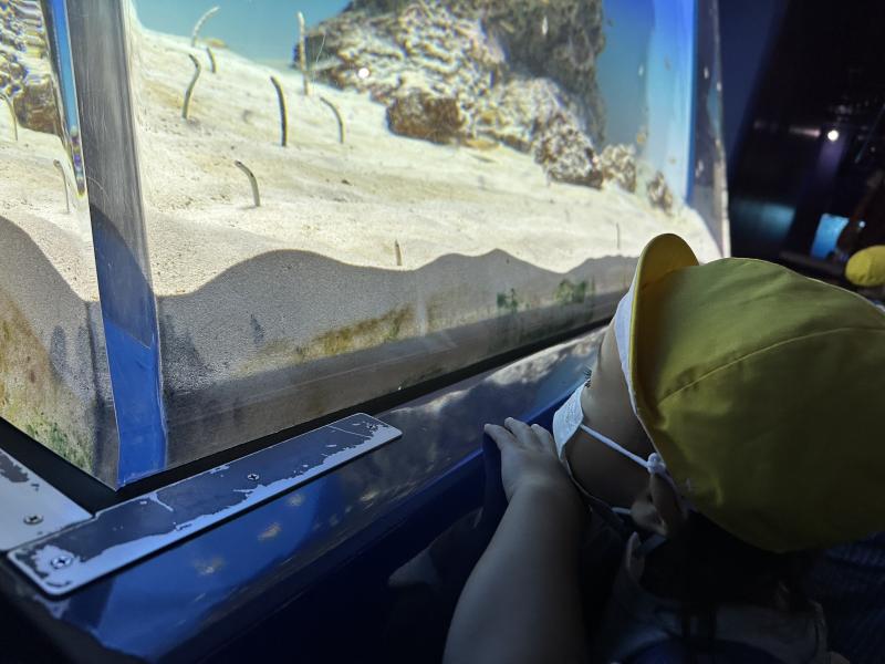 『水族館に行ってきました！！』