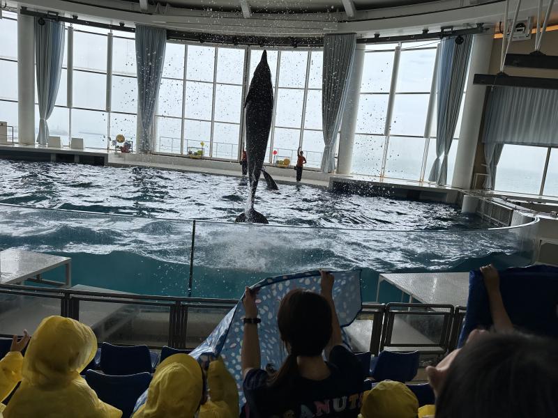 『水族館に行ってきました!!』