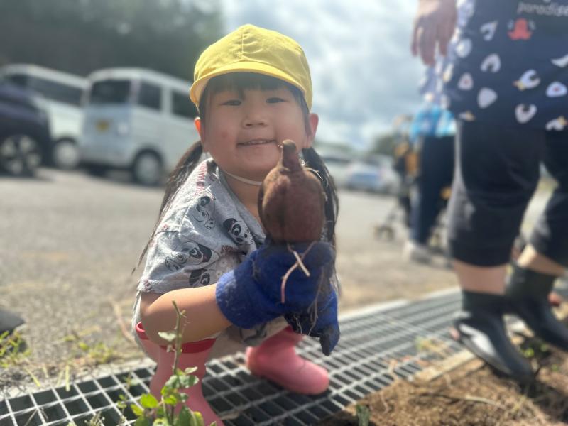 ＜おいもほりをしました＞