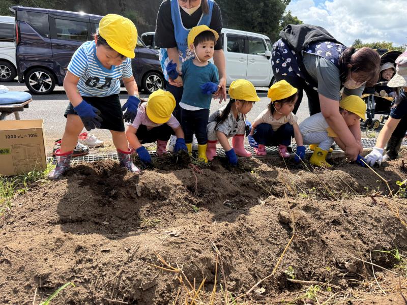 ＜おいもほりをしました＞