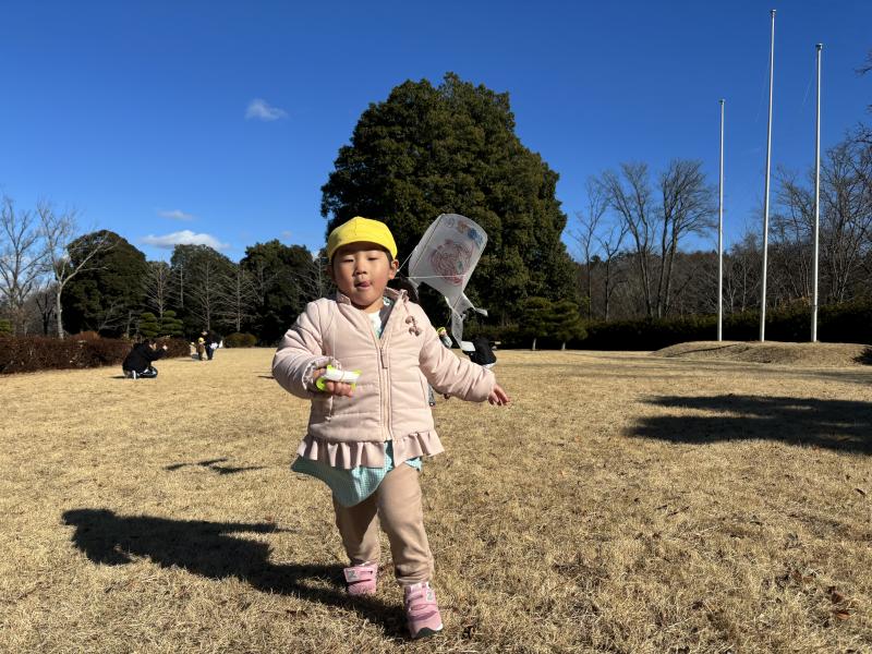 <空高く揚がった凧>